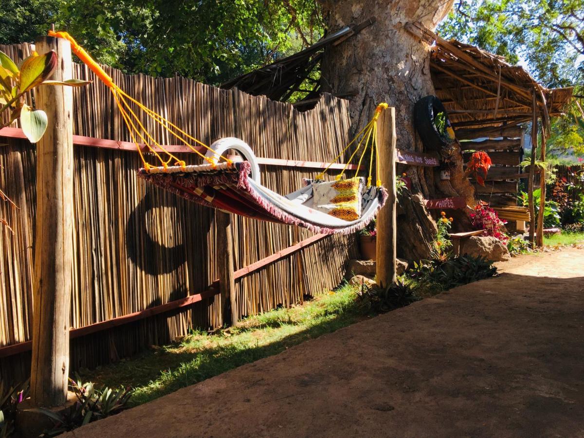 Ava Garden Backpackers Apartment Mto wa Mbu Luaran gambar