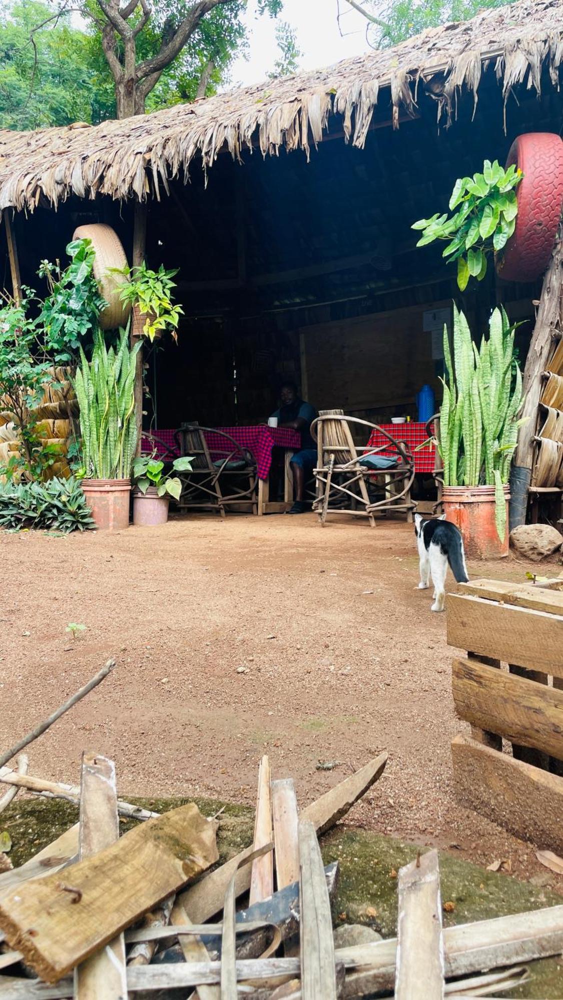 Ava Garden Backpackers Apartment Mto wa Mbu Luaran gambar
